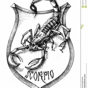 Meet your Posher, Jerry